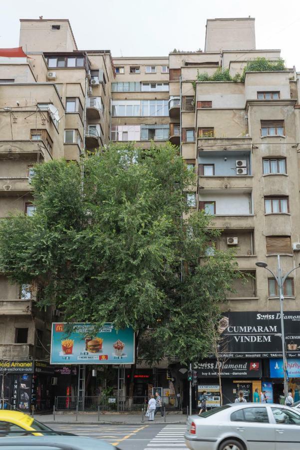 Petite Maison Sur Le Boulevard Bucureşti Eksteriør bilde